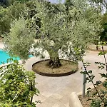 Casina Di Adele Apartmán