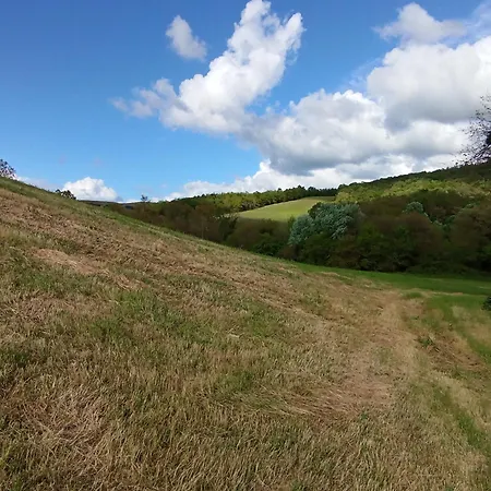 Apartment Casina Di Adele