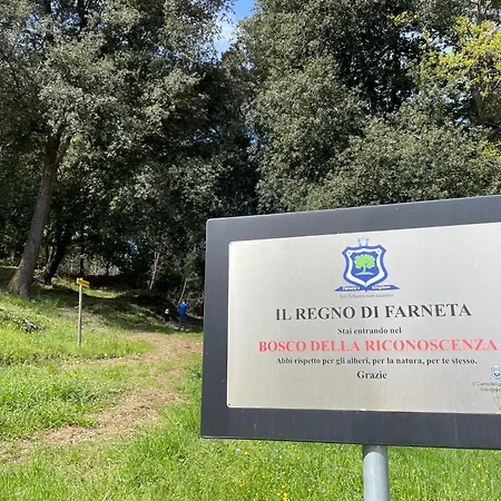 Casina Di Adele Apartment *