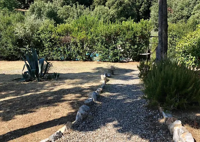 Apartment Casina Di Adele