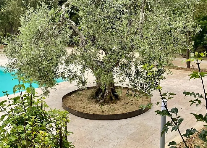 Casina Di Adele Apartment